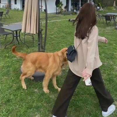 绿发仙子与森林之歌
